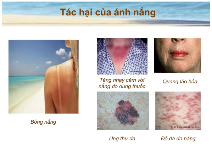 tác hại ánh nắng mặt trời theo bài giảng bác sĩ Lê Thái Vân Thanh