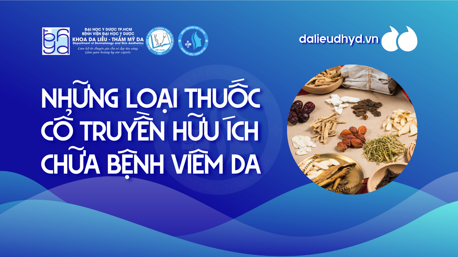 Những loại thuốc cổ truyền hữu ích chữa bệnh viêm da